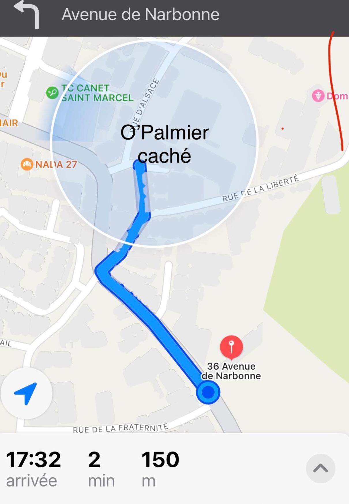 مبيت وإفطار Saint-Marcel-sur-Aude O'Palmier Cache المظهر الخارجي الصورة